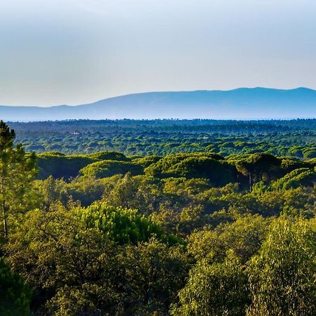 Grândola A Serenada Enoturismo المظهر الخارجي الصورة