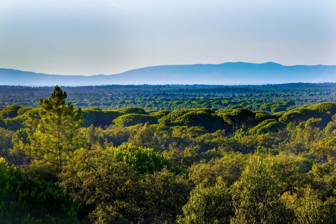 Grândola A Serenada Enoturismo المظهر الخارجي الصورة