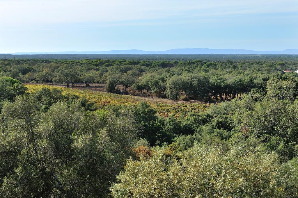 Grândola A Serenada Enoturismo المظهر الخارجي الصورة